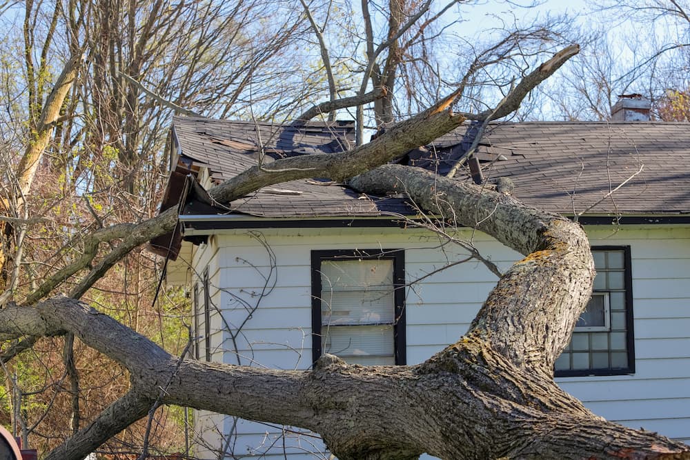 emergency roof repair in Florida