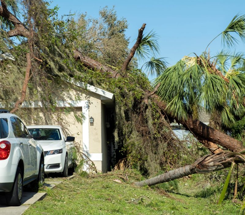 storm damage roof repair in Florida